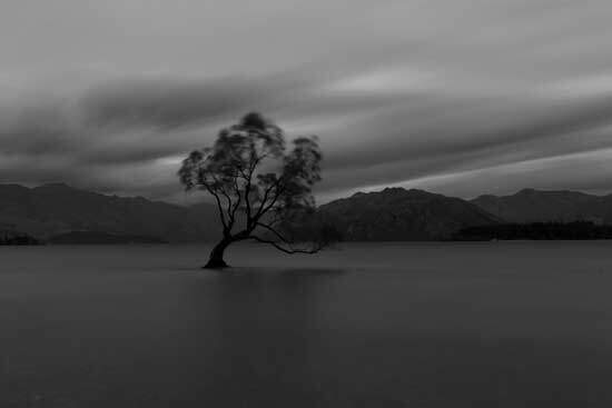 A tree surrounded by water under a dark and stormy sky, representing the flood during the time of Noah