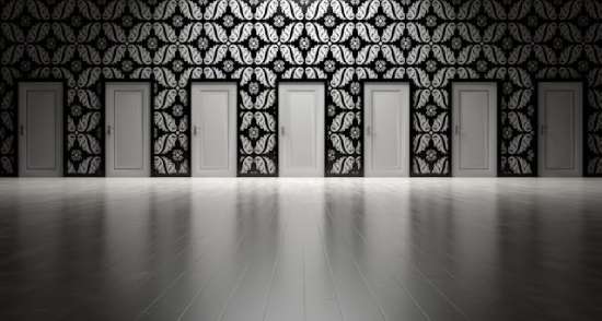 A black and white wall with many doors, representing many choices