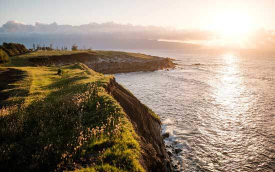 Green fields along the seashore at sunset, reminding us of God's Creation in Genesis