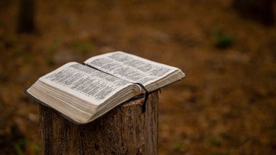 An open Bible on a stump A Bible on a log lies open, illustrating the connection between creation and the Sabbath