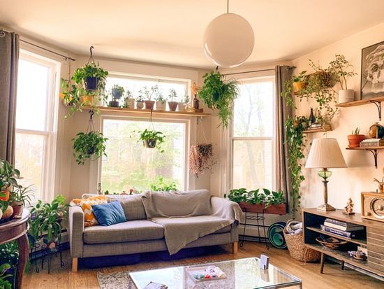 A living room with lots of green plants that purify the air