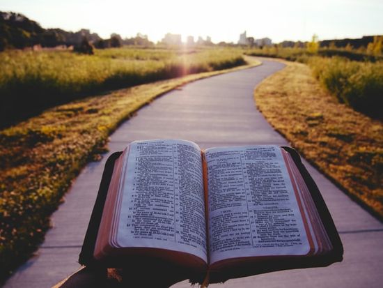 An open Bible showing path towards light as we learn how Ellen White commended the Bible in 1909 General Conference session