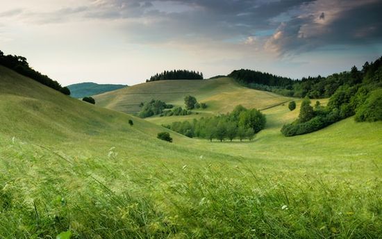 Green, rolling hills that were made on the third day of Creation