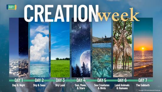 A graph with seven columns depicts creation week with different pictures of nature in each column.