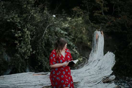 A woman outdoors sitting on a log and reading her Bible with sun exposure