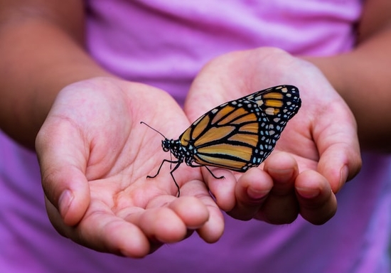  A girl holding a Monarch butterfly and learning about God's creation