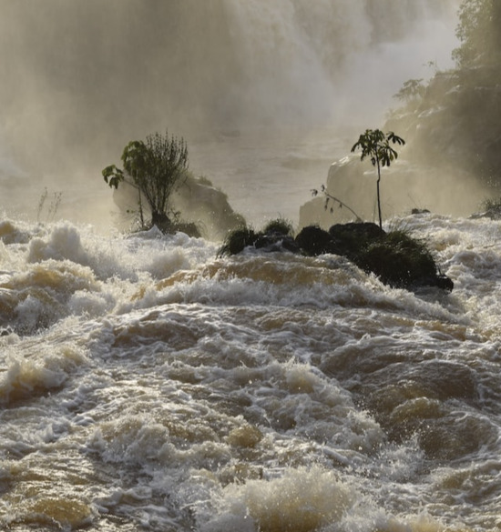 A picture of major flooding, representing God's instructions to Noah about flesh meat after the flood