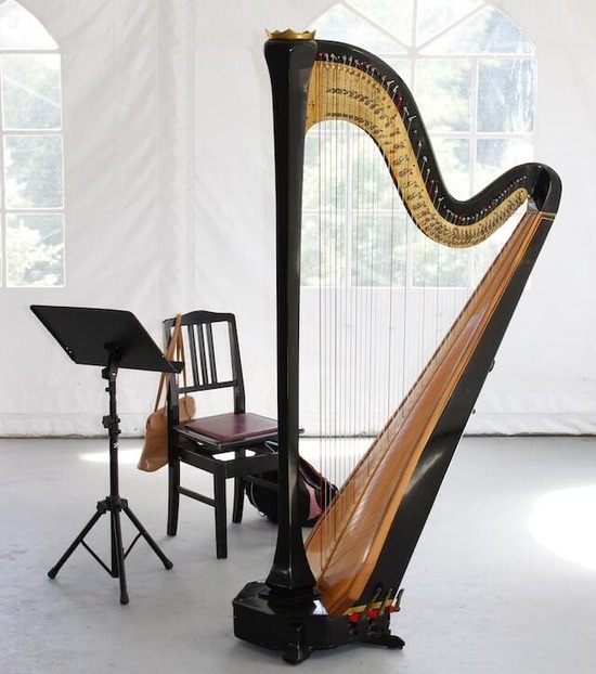 A harp, just as young David played the harp for King Saul