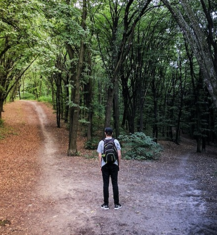 A man at a crossroads in the forest, symbolizing the free will God has given us to choose between good and evil