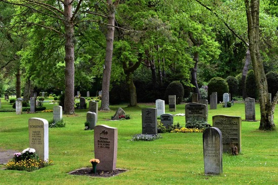 A graveyard with tombstones among green grass and trees