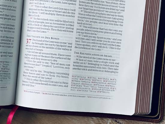 Bible open to the vision of the Valley of Dry Bones given to a prophet A Bible opened to the story of the prophetic vision of the valley of dry bones