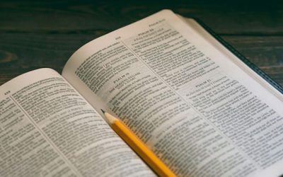 Individual or Group Bible Study—Which Is Better?
