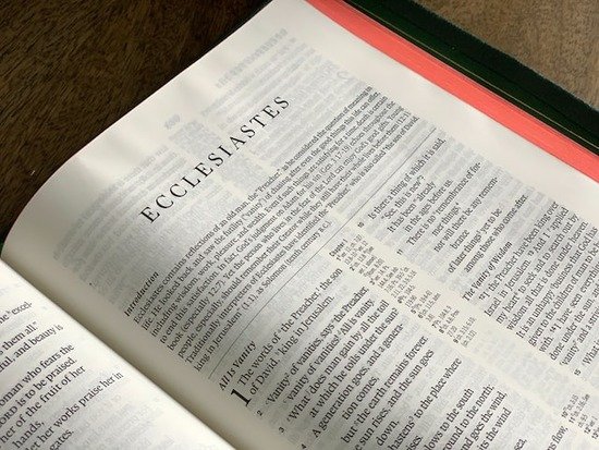 Ecclesiastes, a book of the Bible in the wisdom section