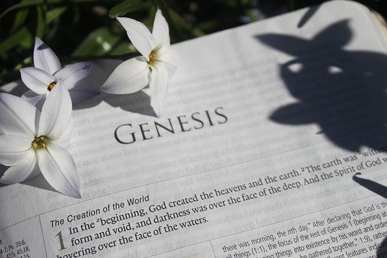 A Bible open to Genesis, the book that provides us with the story of our origins