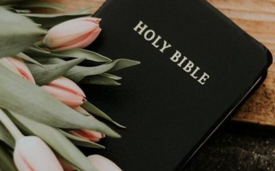 Tudo o que Ellen White Disse Foi Divinamente Inspirado?