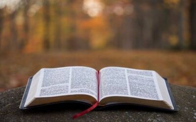 Why Do Some Bibles Have More Books Than Others?