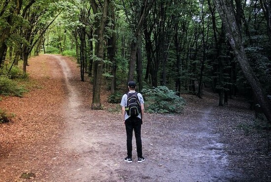 A man in a forest standing at the crossroads of two paths, similar to the decision of whether to follow God or not