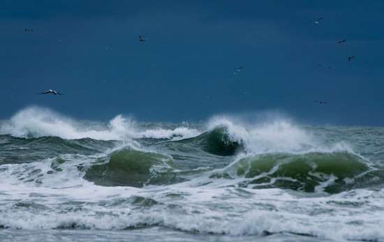 Large waves on the water