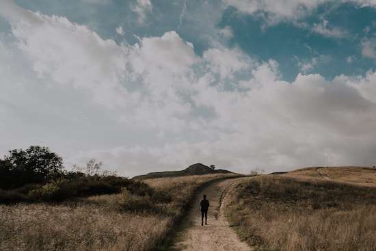 A man on a dirt pathway through a field