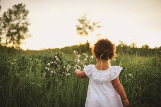 Young girl dressed in white picking white flowers in a green grassy field A little girl in a white dress picks flowers in a field, giving a picture of a peaceful life in heaven and on the New Earth.