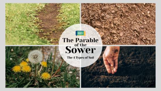 4 different soil types - a packed down path, rocky soil, dandelion weeds, and fertile soil with a hand planting seeds