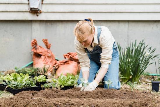 Woman planting a garden in the country A woman plants a garden, demonstrating the hard work that goes into country living.