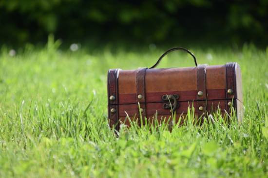 Treasure chest in grassy field A small wooden chest with a clasp sits in the grass.