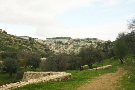 Gehenna or the Valley of Hinnom A picture of the Valley of Hinnom.