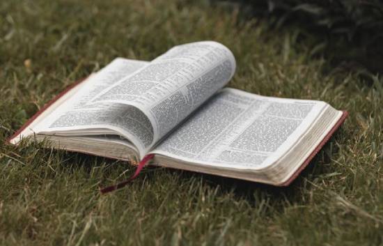 Open Bible on lawn The pages of a Bible laying in green grass turn with the breeze.